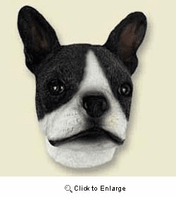 Boston Terrier Magnet