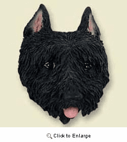 Bouvier des Flandres Magnet