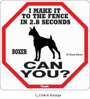 Boxer 2.8 Seconds Sign