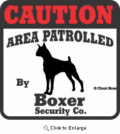 Boxer Bumper Sticker Caution