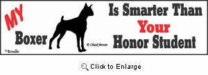 Boxer Bumper Sticker Honor Student