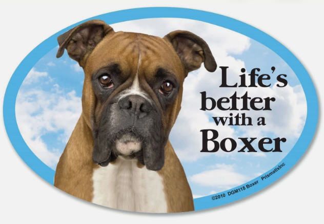 Boxer Car Magnet - Spoiled Rotten