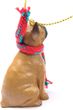 Boxer Tiny One Christmas Ornament Tawny