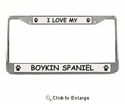 Boykin Spaniel License Plate Frame