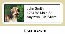 Briard Address Labels