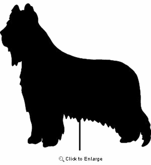 Briard Garden Stake
