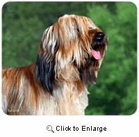 Briard Mousepad
