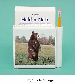 Brown Bear Hold-a-Note