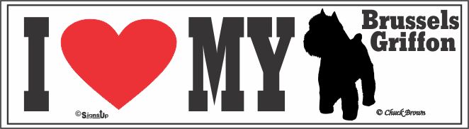 Brussels Griffon Bumper Sticker I Love My