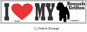 Brussels Griffon Bumper Sticker I Love My