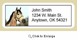 Buckskin Horse Address Labels