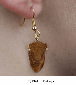 Buffalo Authentic Earrings