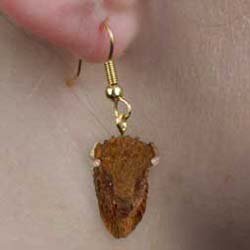 Buffalo Authentic Earrings