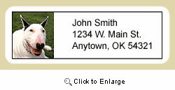 Bull Terrier Address Labels