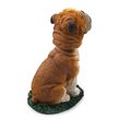 Bulldog Bobblehead