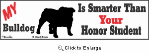 Bulldog Bumper Sticker Honor Student