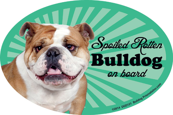 Bulldog Car Magnet - Spoiled Rotten