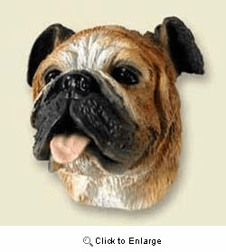 Bulldog Magnet