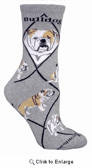 Bulldog Socks