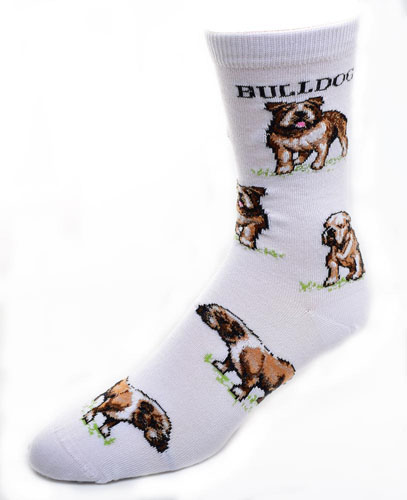 Bulldog Socks Poses 2