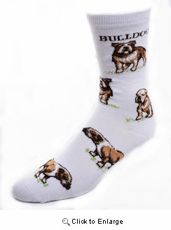 Bulldog Socks Poses 2
