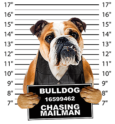 Bulldog T-Shirt - Mug Shot