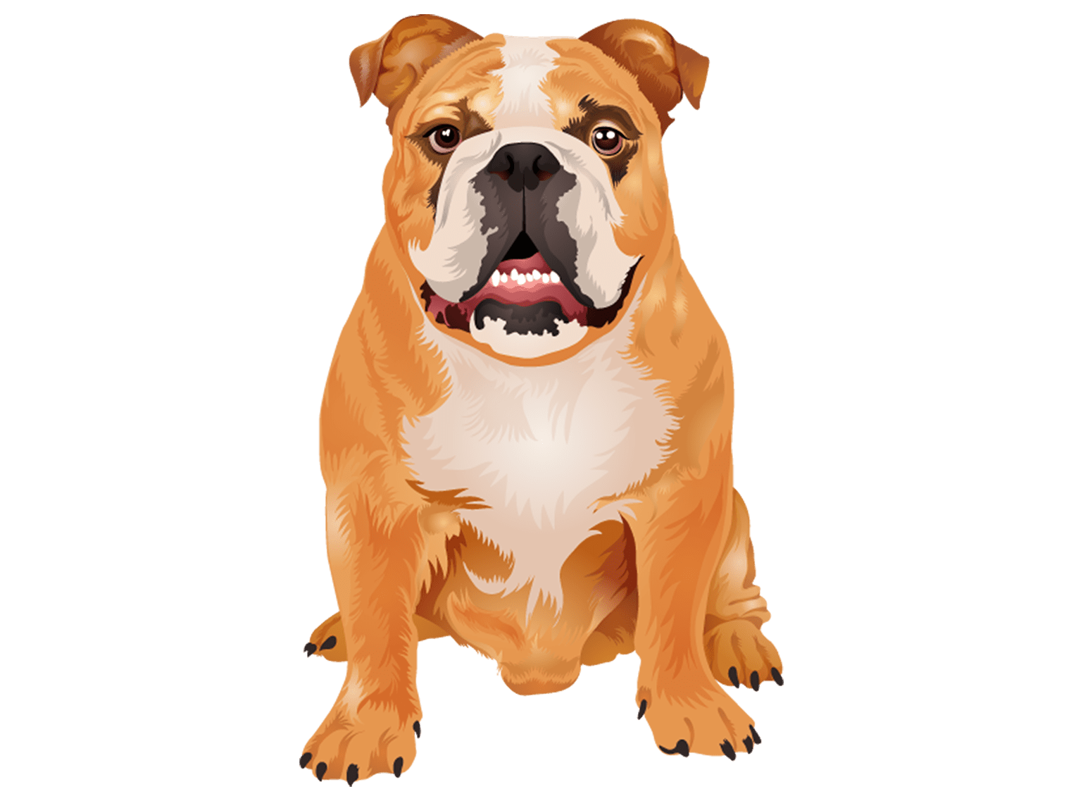 Bulldog T-Shirt - Vibrant Vector