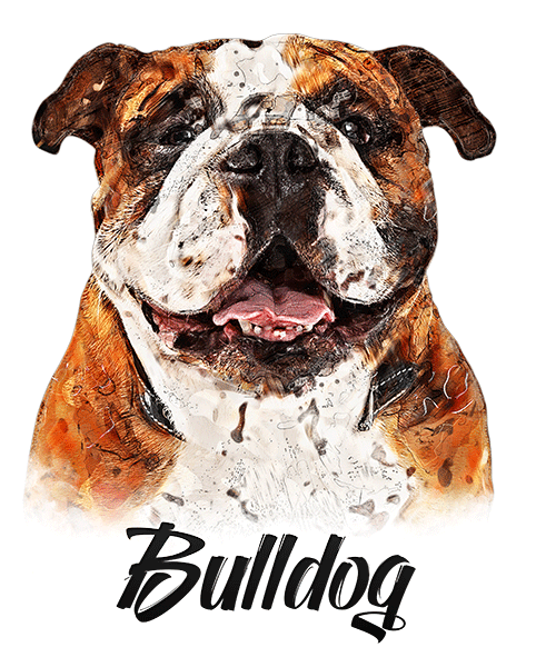 Bulldog T-Shirt - Vivid Colors