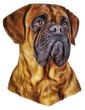 Bullmastiff Decal Window Sticker