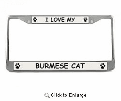 Burmese Cat License Plate Frame
