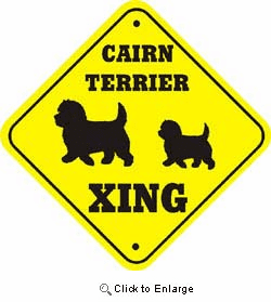 Cairn Terrier Crossing