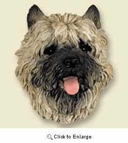 Cairn Terrier Magnet