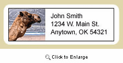 Camel Address Labels