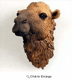 Camel Magnet By Conversation Concepts 2"