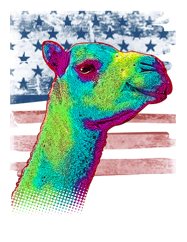 Camel T Shirt American Flag