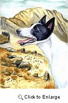 Canaan Dog Garden Flag