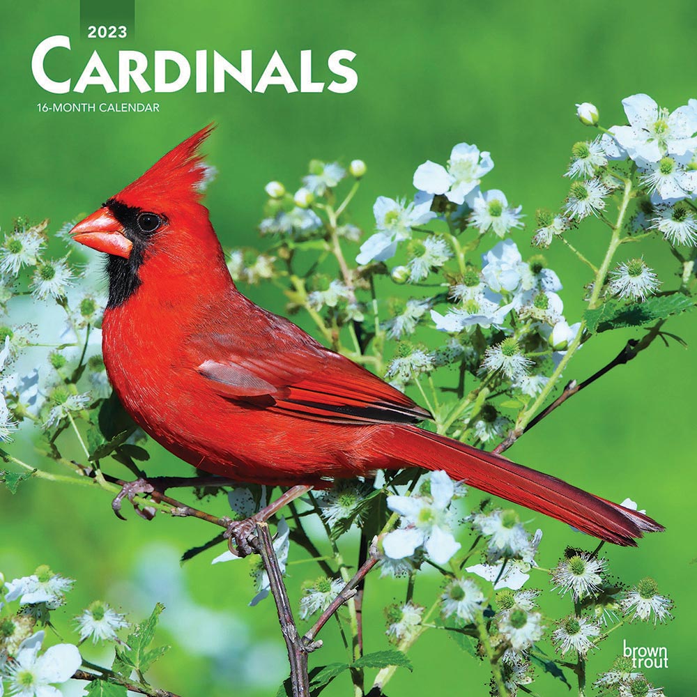 Cardinals Calendar 2025Animal Den