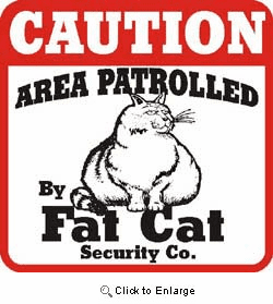 Cat Caution Sign