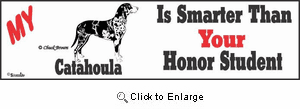 Catahoula Leopard Dog Bumper Sticker Honor Student
