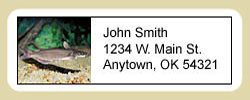 Catfish Address Labels