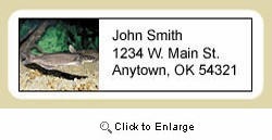 Catfish Address Labels