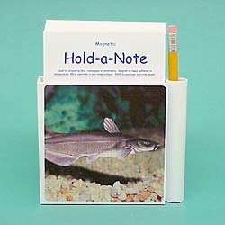 Catfish Hold-a-Note