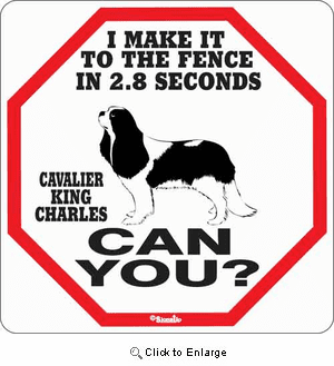 Cavalier King Charles 2.8 Seconds Sign