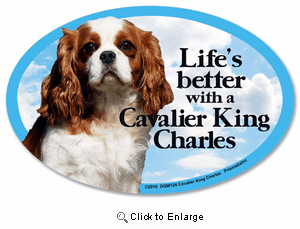 Cavalier King Charles Car Magnet - Life's Better