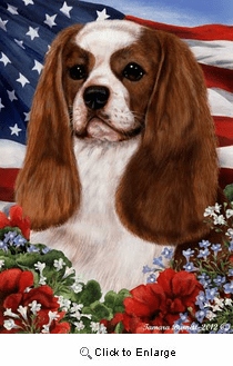 Cavalier King Charles House Flag Blenheim