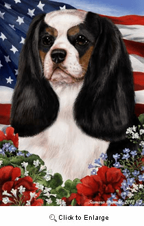 Cavalier King Charles House Flag Tri