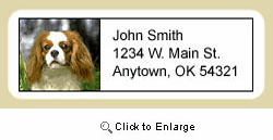 Cavalier King Charles Spaniel Address Labels