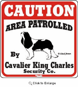Cavalier King Charles Spaniel Caution Sign