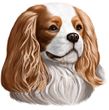 Cavalier King Charles Spaniel Decal Window Sticker