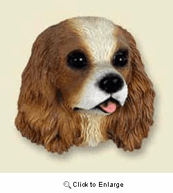 Cavalier King Charles Spaniel Magnet
